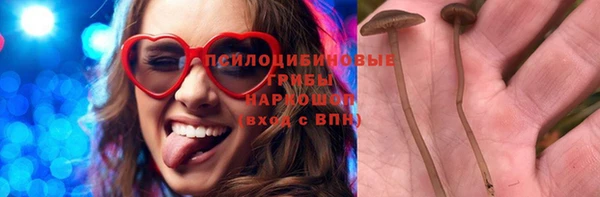 МДПВ Володарск
